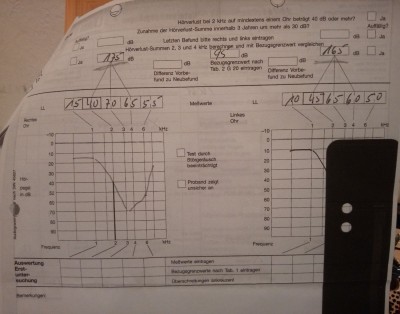 Audiogramm 2001.jpg