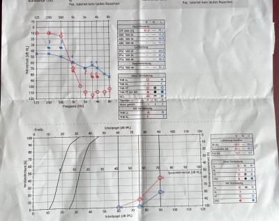peme audiogr_1.JPG (239.68 KiB) 734 mal betrachtet Audiogram