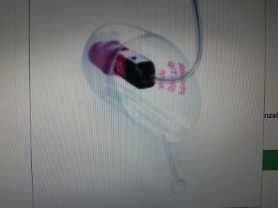Phonak Slim Tip 4.0.JPG