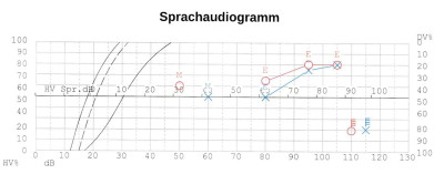 Sprachtest 2025.jpeg